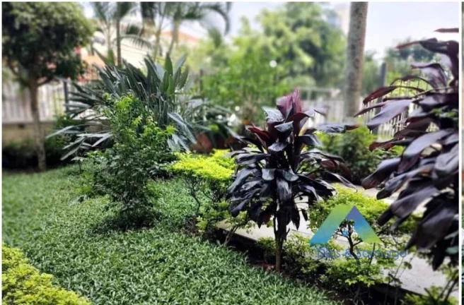 Imagem Apartamento à venda com 1 dormitório no Cambuci!
