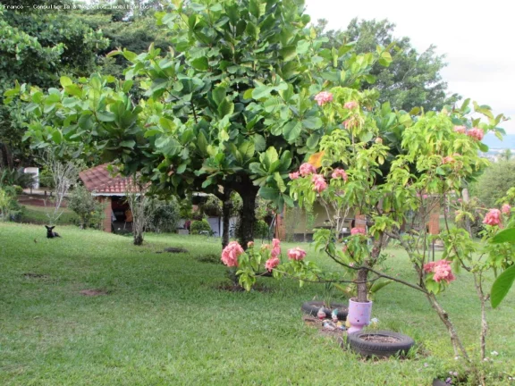 Imagem Chácara para Venda em São Pedro, Alpes das Águas, 6 dormitórios, 3 suítes, 5 banheiros, 10 vagas