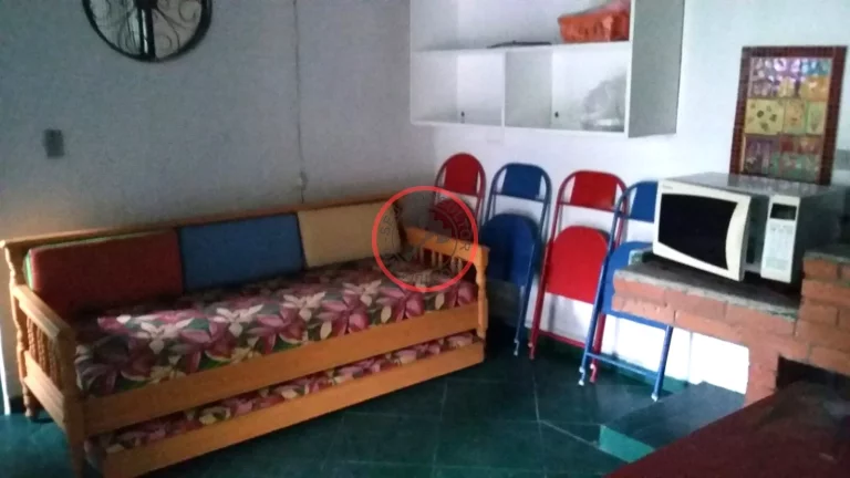 Imagem 3 casas no mesmo terreno, boa opção para investimento e moradia