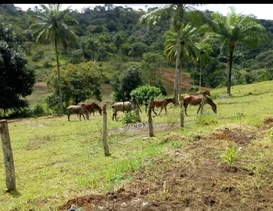 Imagem Fazenda para Venda em Valença, Guaibim, 9 dormitórios, 3 banheiros