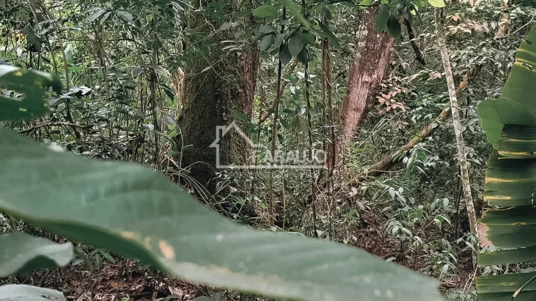 Imagem CHÁCARA PARA VENDA EM ARAÇOIABA DA SERRA, COM ACESSO RAPIDO A SOROCABA-SP