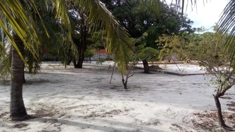 Imagem (TE0051) Terreno de 2.772 m² com 2 frentes em Aquiraz/CE