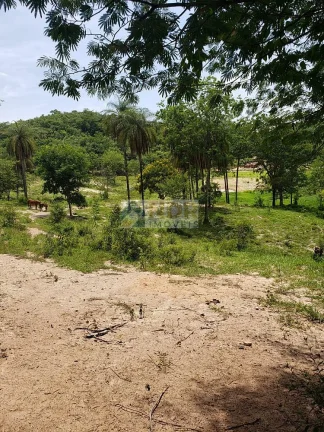 Imagem AREA RURAL EM INHAÚMA