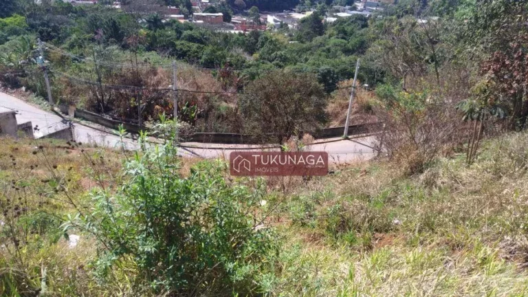 Imagem Terreno à venda, 4080 m² por R$ 1.010.638,48 - Recreio São Jorge - Guarulhos/SP