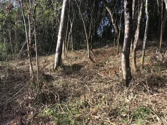 Imagem Terreno à venda, 1375 m² por R$ 250.000,00 - Jardim Cinco Lagos - Mairiporã/SP
