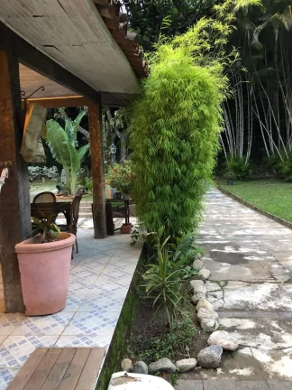Imagem Fazenda à Venda, 840.000 m² em Mazomba - Itaguaí