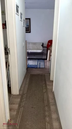 Imagem Apartamento à venda em São Paulo, Jardim Íris, com 3 quartos, 64m²