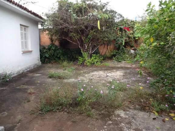 Imagem Casa ampla com vocação comercial no Centro , excelente para clínicas e escritórios , banheiros m...