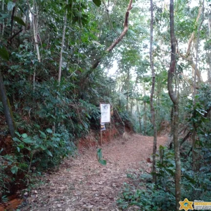 Imagem EXCELENTE TERRENO NA PRAIA DO FELIX