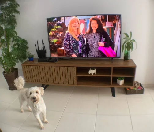 Imagem Apartamento com 3 dormitórios à venda, 92 m² por R$ 649.000,00 - Vila Valparaíso - Santo André/SP