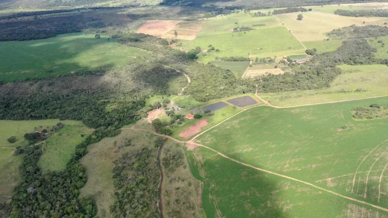 Imagem Fazenda à Venda em Santa Cruz de Goiás – Dupla Aptidão!