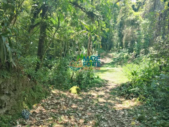 Imagem AREA DE FRENTE PARA A RODOVIA OSWALDO CRUZ (6 KM DO CENTRO)