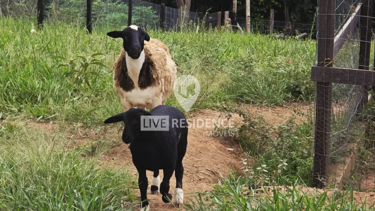 Imagem Sítio Campo dos Sonhos à venda no bairro Mato Dentro!