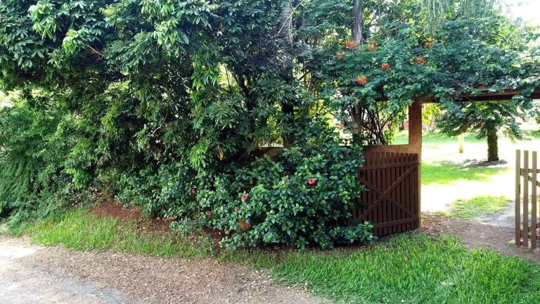 Imagem Chácara com 3 dormitórios à venda, 25000 m² por R$ 800.000,00 - Campininha - Cesário Lange/SP