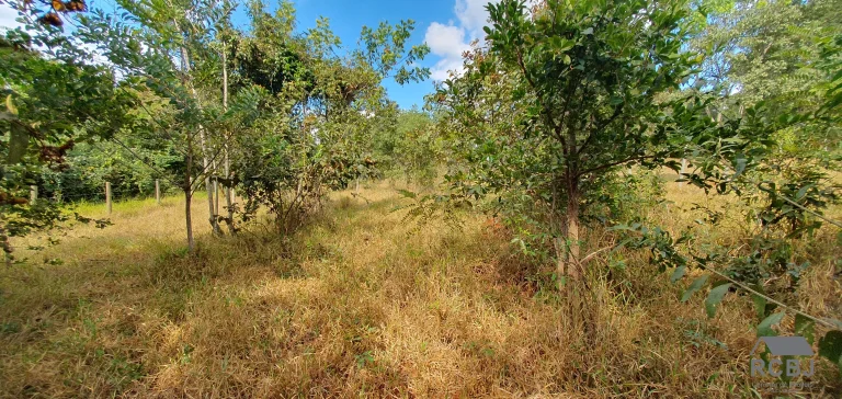 Imagem TERRENO TEMPORADA em ESMERALDAS - MG, ESMERALDAS/QUATI