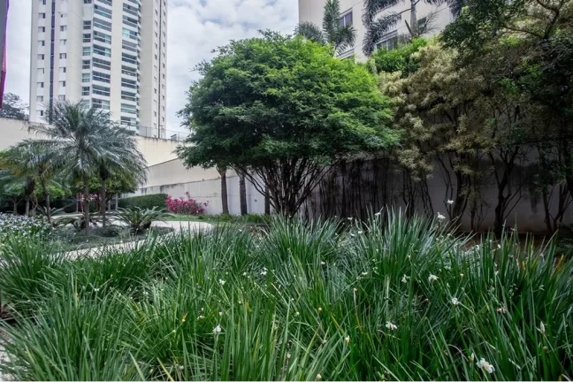 Imagem APARTAMENTO RESIDENCIAL em São Paulo - SP, Vila Clementino