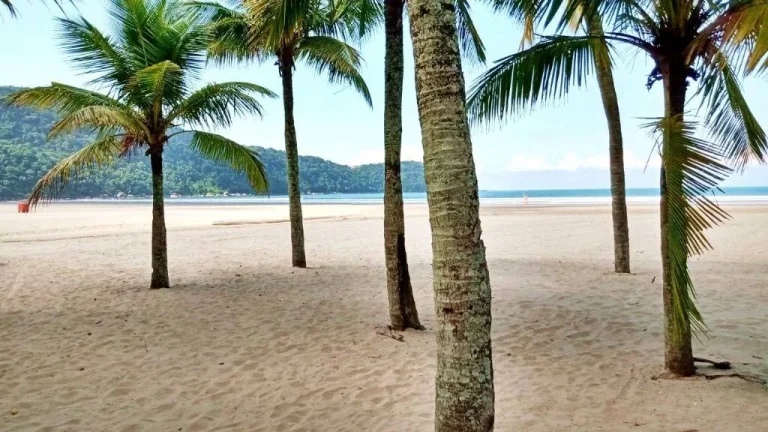 Imagem Kitnet Mobiliada no Bairro Ocian em Praia Gande SP