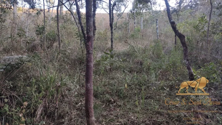 Imagem Terreno a venda nas montanhas de Campos do Jordão-SP