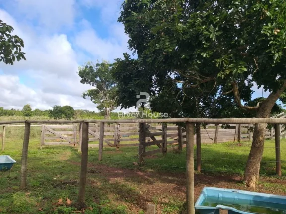 Imagem Sítio à Venda no Valor R$ 800.000,00, Ribeirão dos Cocais, Nossa Senhora do Livramento, MT
