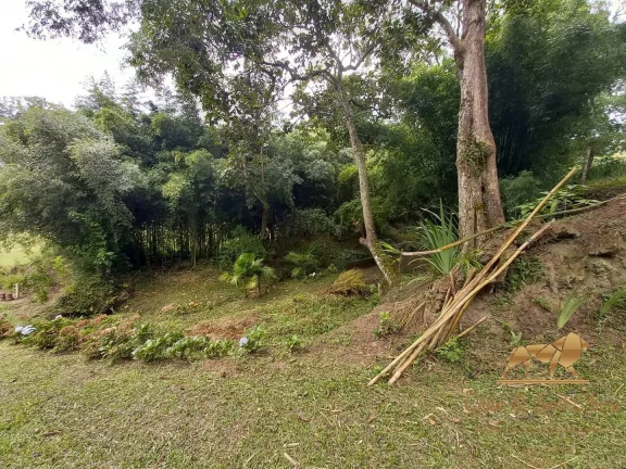 Imagem Chácara à venda, 30000 m² por R$ 1.700.000,00 - Renópolis - Santo Antônio do Pinhal/SP