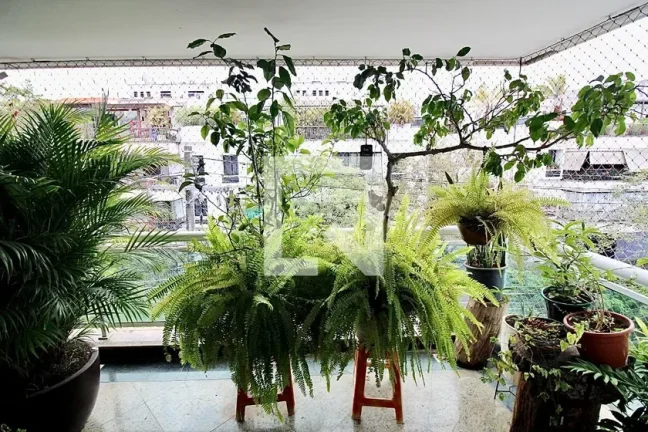 Imagem Apartamento à Venda - Recreio, 5 Quartos, 224 m2