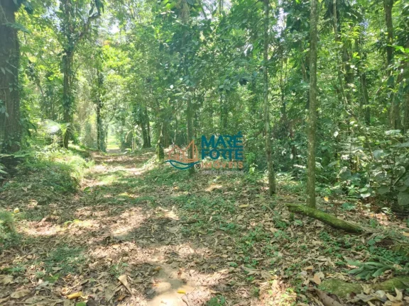 Imagem AREA DE FRENTE PARA A RODOVIA OSWALDO CRUZ (6 KM DO CENTRO)