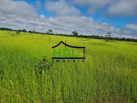 Imagem 110 Alqs Top em Cocalinho MT