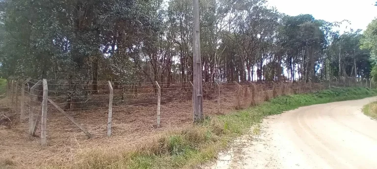 Imagem Chácara à venda em Campo Largo/PR