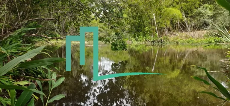 Imagem Fazenda entre Cassia e Passos
