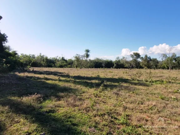Imagem Chácara 7,8 hectares em Rochedo-MS