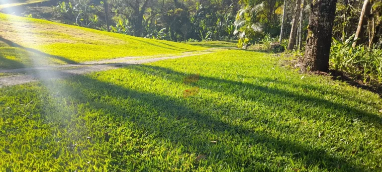 Imagem CHÁCARA à venda com 411400m² por R$ 2.400.000,00 no bairro Porto de cima - MORRETES / PR