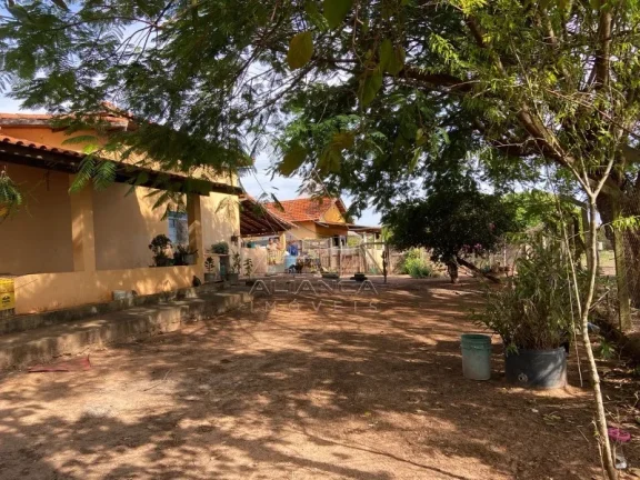 Imagem Fazenda - Patrocínio Paulista - Patrocínio Paulista