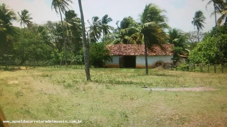 Imagem Fazenda para Venda em Extremoz, capim -extremoz, 3 dormitórios, 1 suíte, 2 banheiros, 6 vagas