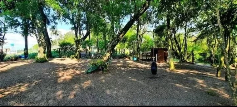 Imagem Lindo Sítio em Arárica com 2 casas construídas