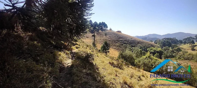 Imagem Conecte-se à Natureza: Terreno Rural com Nascente e Vista Panorâmica!