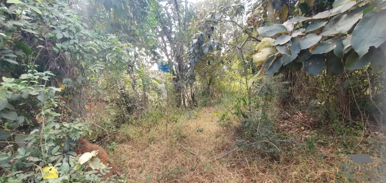 Imagem TERRENO TEMPORADA em ESMERALDAS - MG, ESMERALDAS/QUATI