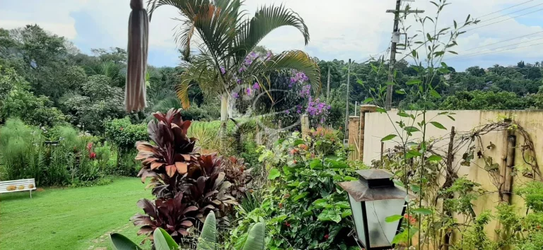 Imagem Chácara no Tijuco Preto