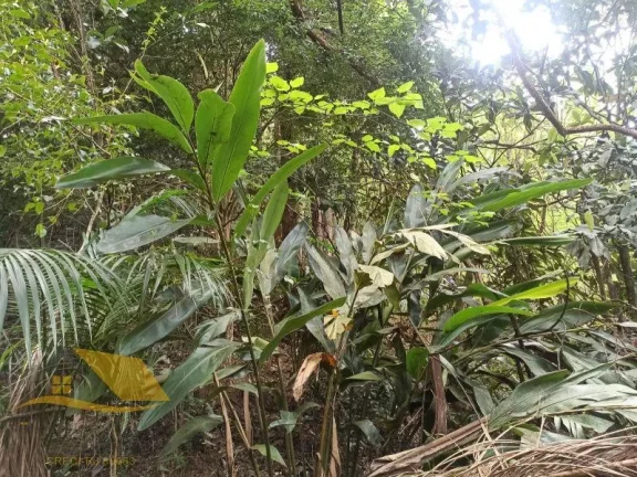 Imagem Vendo Casa com Piscina na Chácara do Paraíso