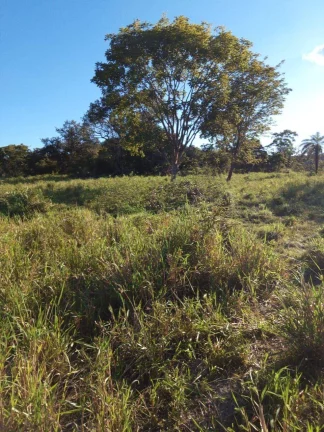 Imagem Fazenda à Venda em Faina - 237 Alqueires de Oportunidade!