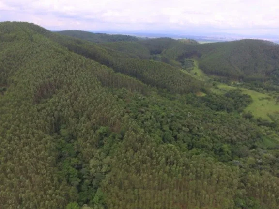 Imagem Fazenda para Venda por R$3.000.000,00 - Pinheirinho, Tremembé / SP - Cód. BDI24610