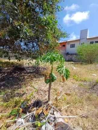 Imagem Terreno em Ponta Negra.