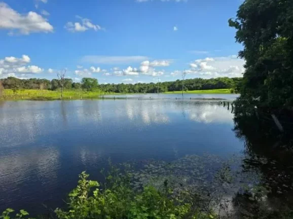Imagem Oportunidade Única: Fazenda Espetacular à Venda! Mundo Novo GO.