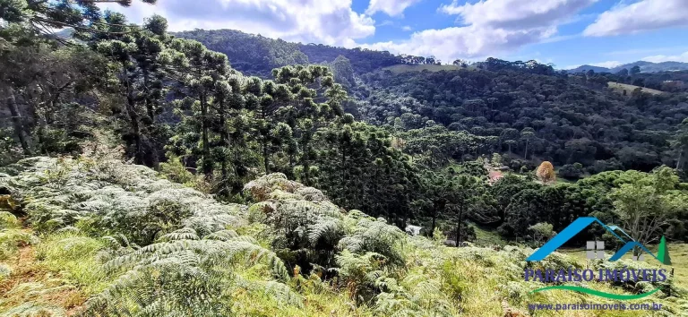 Imagem Viva o sonho na Serra da Mantiqueira neste aconchegante terreno!