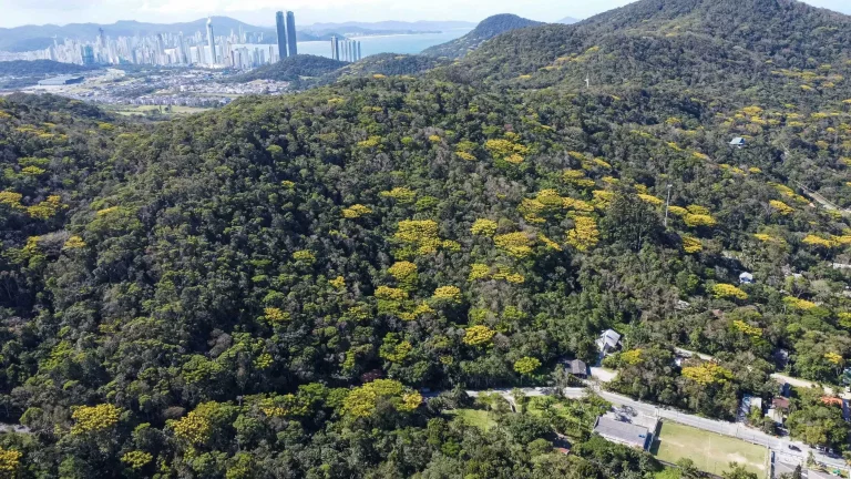 Imagem Terreno no Estaleiro