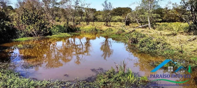 Imagem Propriedade Rural de Alto Padrão: Pronta para Produção e Investimento!