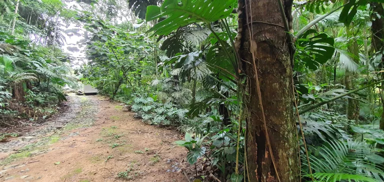 Imagem Sitio com 355.700m², 35 hectares no Bairro Encano do Norte | Indaial/SC