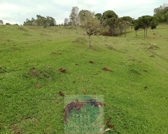 Imagem Sítio 20 ha ou 8,26 alq. a venda, para café, gado Jacui Sul de Minas Gerais