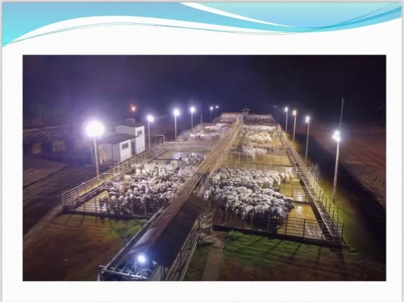 Imagem Frigorífico á Venda- Mato Grosso