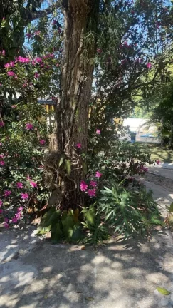 Imagem Chácara a VENDA, Chácara Bauruenses, Bauru/SP,