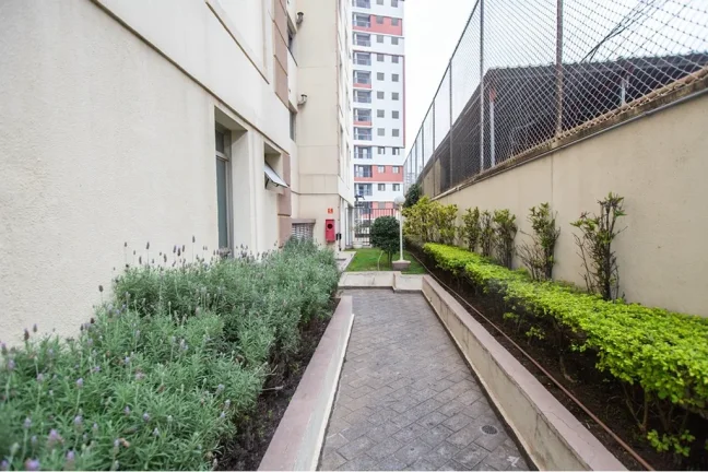 Imagem APARTAMENTO RESIDENCIAL em São Paulo - SP, Vila Esperança